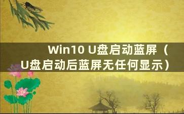 Win10 U盘启动蓝屏（U盘启动后蓝屏无任何显示）